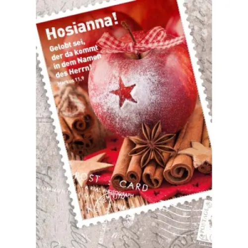 Roter Apfel mit Stern - Postkarte - Serie mit 12 Stk.