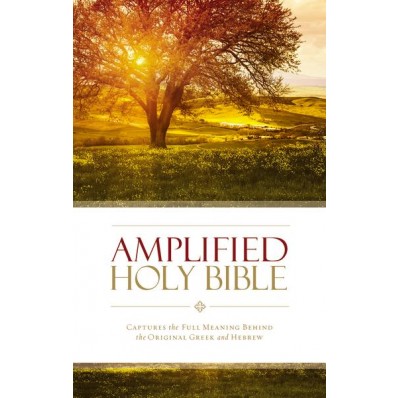 Anglais, Amplified Bible - souple, brochée