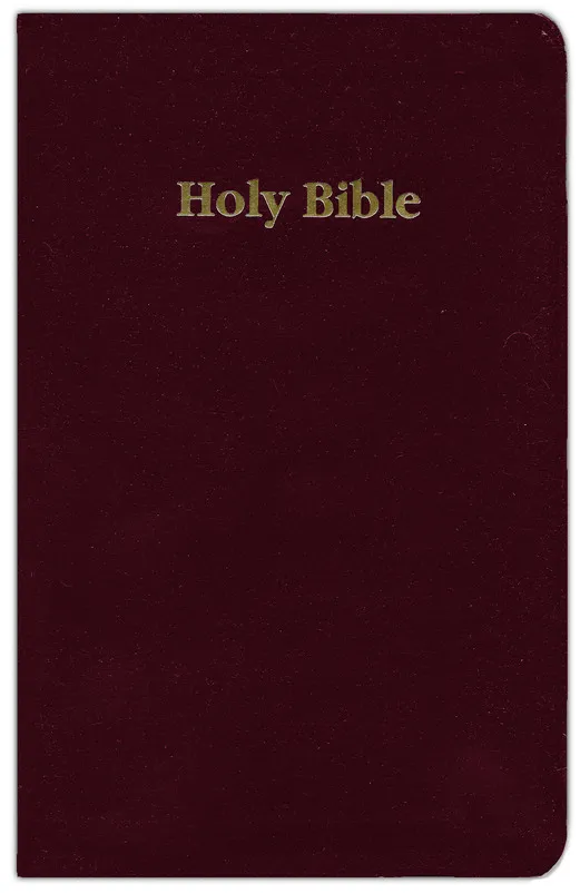 Englisch, Bibel King James Version, Leder, weinrot