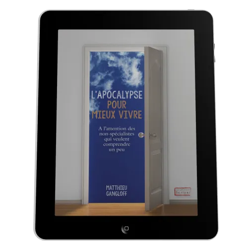 Apocalypse pour mieux vivre (L') - A l'attention des non-spécialistes qui veulent comprendre un...