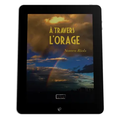 À travers l'orage - ePub