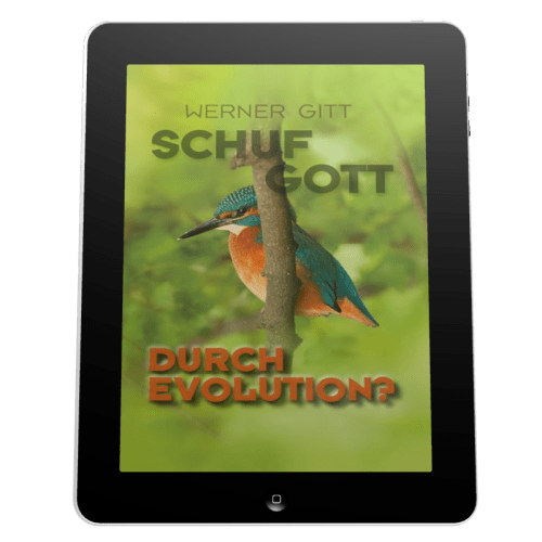 SCHUF GOTT DURCH EVOLUTION? - EBOOK