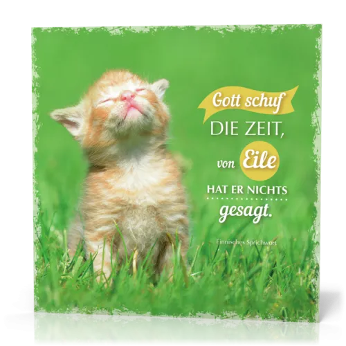 Metalltafel Gott schuf die Zeit/Katze - 13 x 13 cm