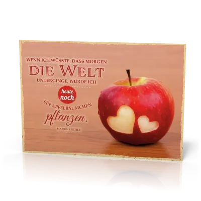 Postkarten 12 Stk.: Wenn ich wüsste, dass