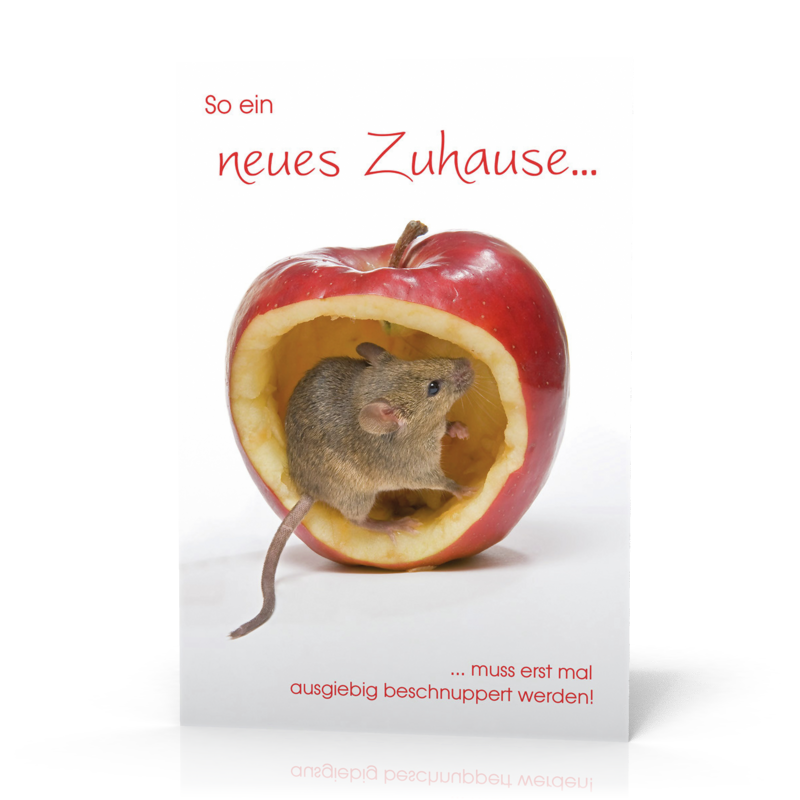 Doppelkarte Zuhause Maus/Apfel PG11