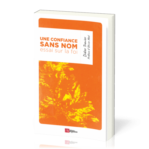 Une confiance sans nom - Essai sur la foi