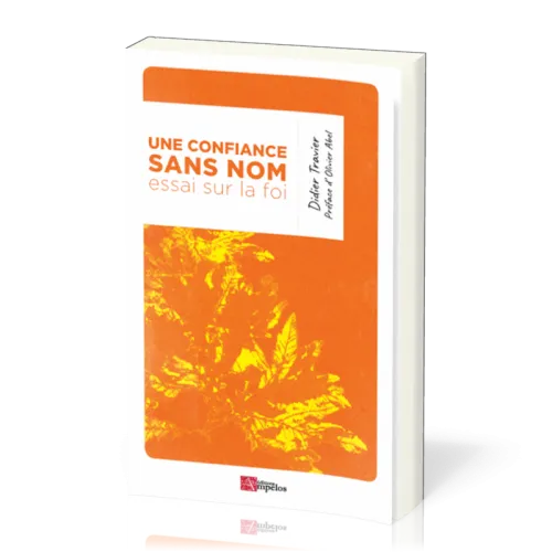 Une confiance sans nom - Essai sur la foi