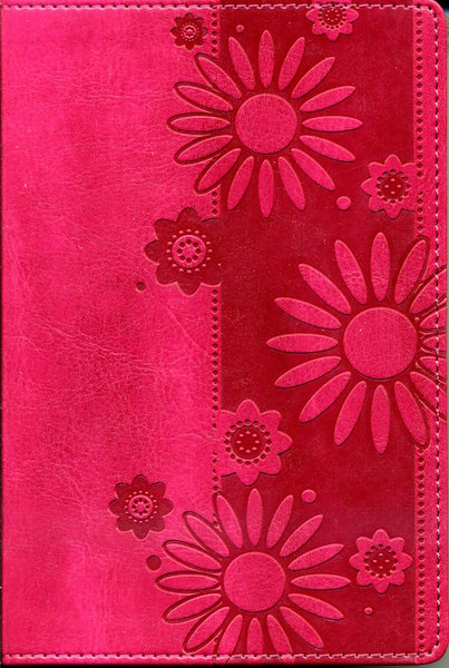 Spanisch, Bible Reina Valera 1977, Kunstleder, Himbeer mit Blumen, Silberschnitt