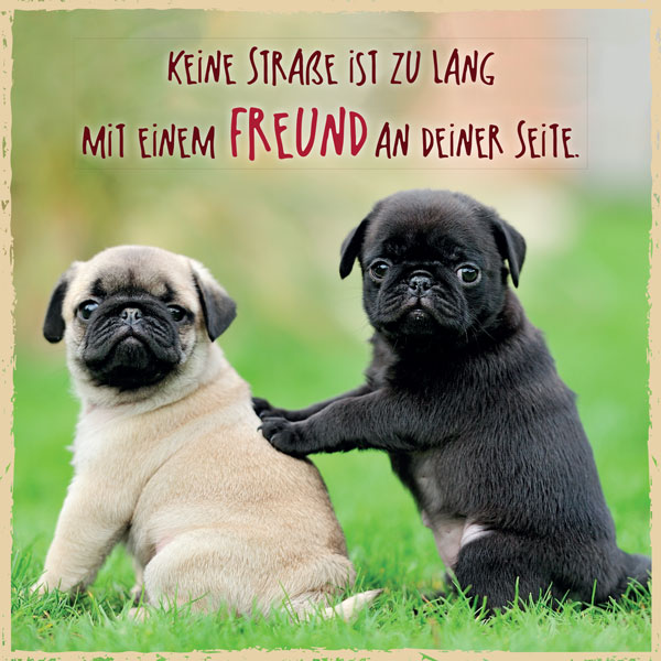 Metalltafel Hunde Freunde - 13 x 13 cm