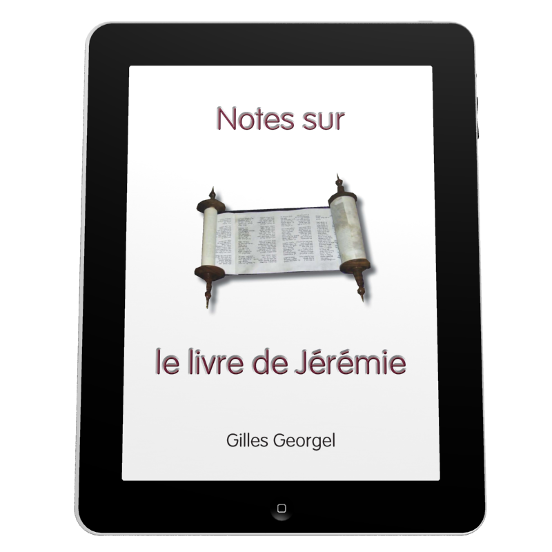Notes sur le livre de Jérémie - Ebook