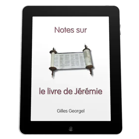 Notes sur le livre de Jérémie - Ebook