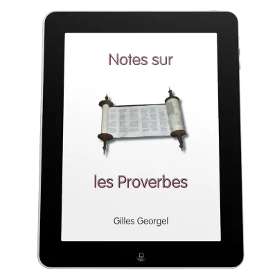 Notes sur les Proverbes - Ebook