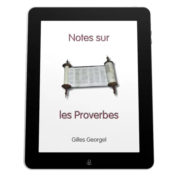 Notes sur les Proverbes - Ebook