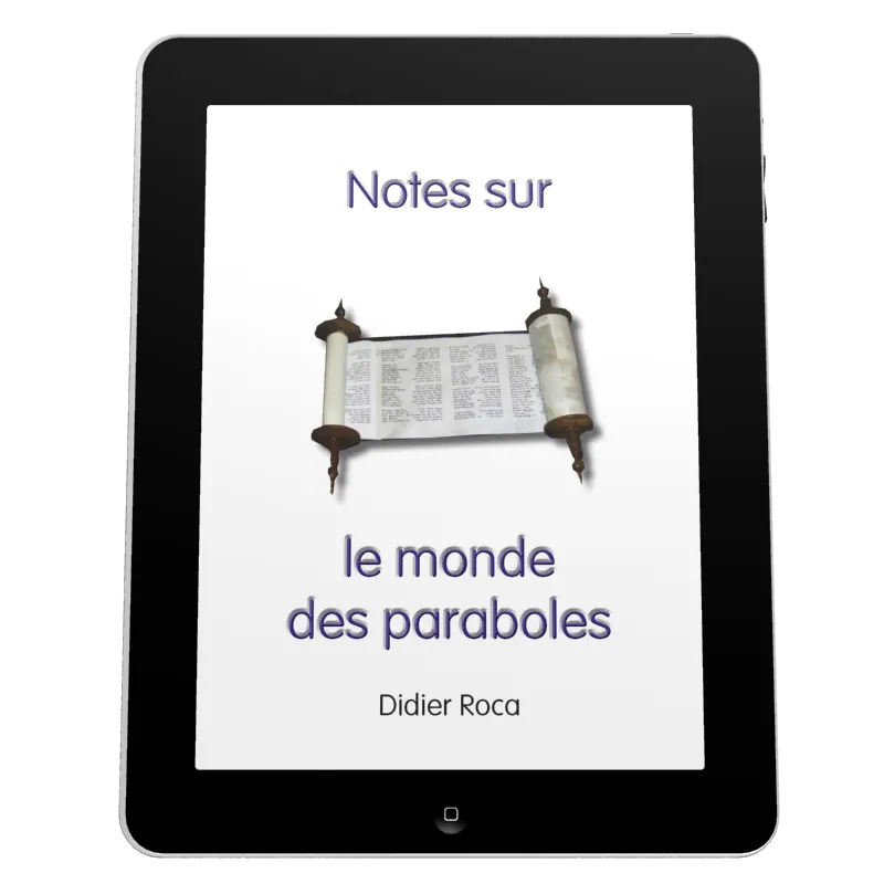 Notes sur le monde des paraboles - ePub