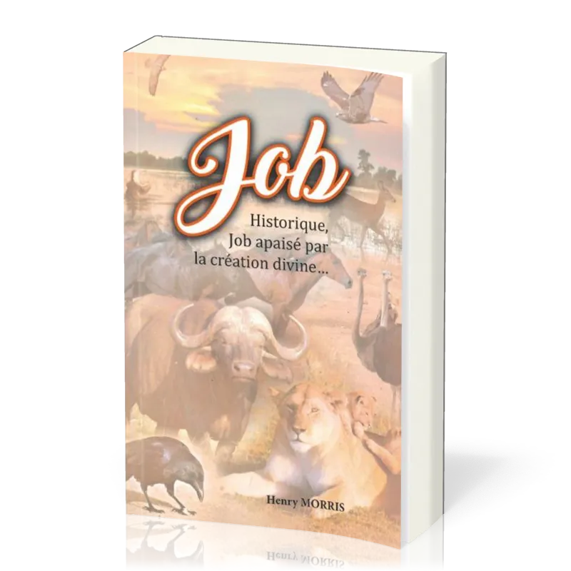 Job historique, Job apaisé par la création divine…