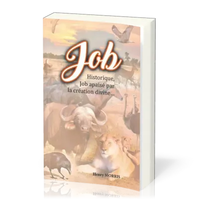 Job historique, Job apaisé par la création divine…