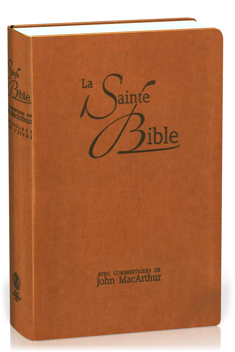 BIBEL NEG MACARTHUR, BIEGSAMES LEDERIMITAT, GRIFFREGISTER, BRAUN