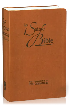 BIBEL NEG MACARTHUR, BIEGSAMES LEDERIMITAT, GRIFFREGISTER, BRAUN