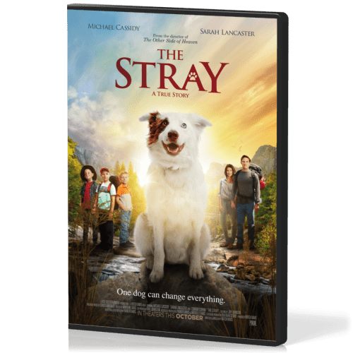 The Stray, a true dog tale - ANG DVD