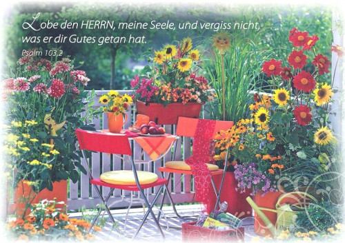 PK GARTENSTUHL MIT SCHAL 12 STÜCK - POSTKARTE