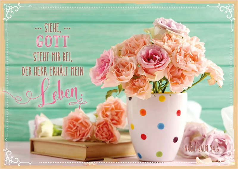 Postkarte Leben - 12 Stück pro Päckchen