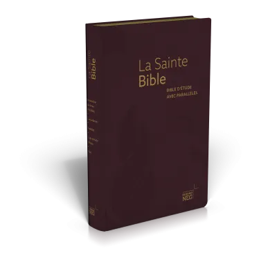 BIBEL NEG, PARALLELSTELLEN, FIBROLEDER, ROTGOLDSCHNITT, GRIFFREGISTER, DUNKEL ROT
