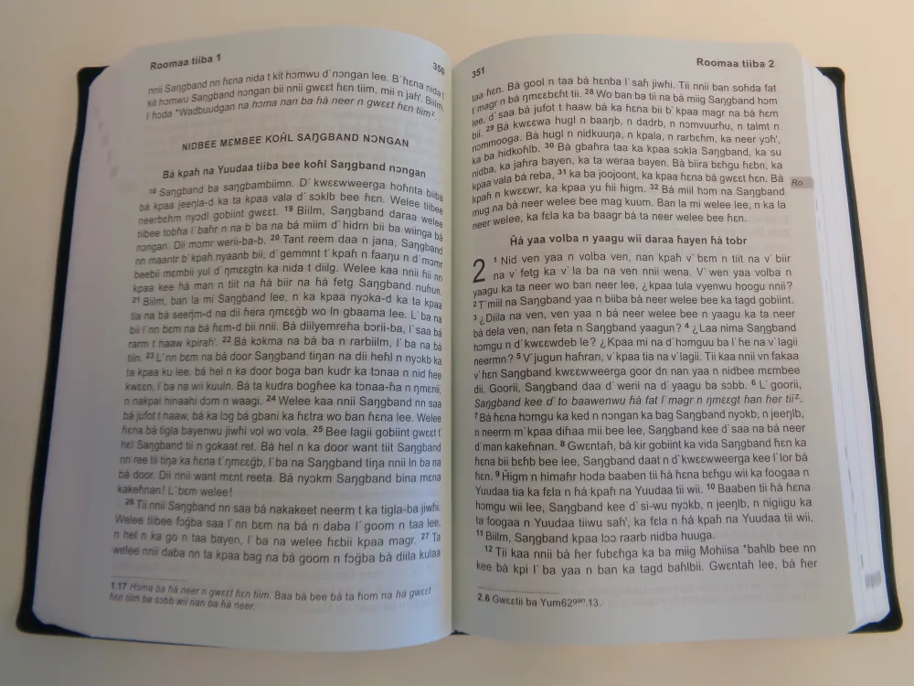 Nawdm Nouveau Testament et Psaumes (Togo)