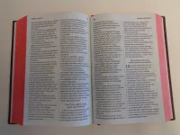 Shuar, Bible - Yusa Chichame Aarma (Shuar)