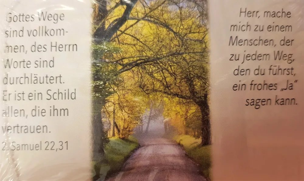 Neujahrslose - gemischte Bildmotive