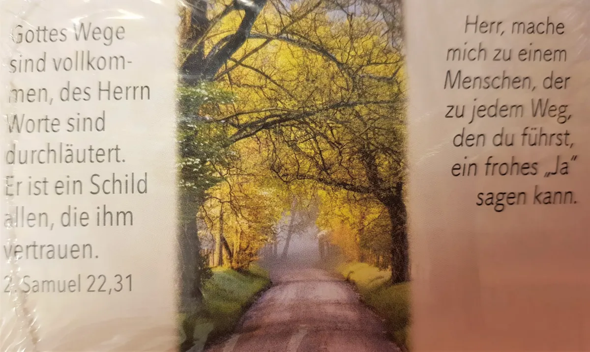 Neujahrslose - gemischte Bildmotive