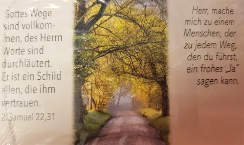 Neujahrslose - gemischte Bildmotive