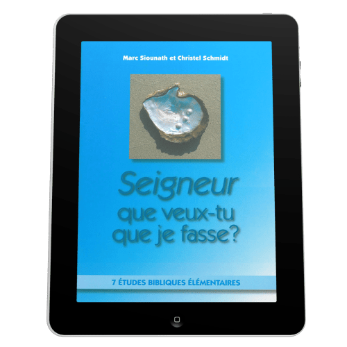 Seigneur que veux-tu que je fasse? - 7 études bibliques élémentaires - ebook