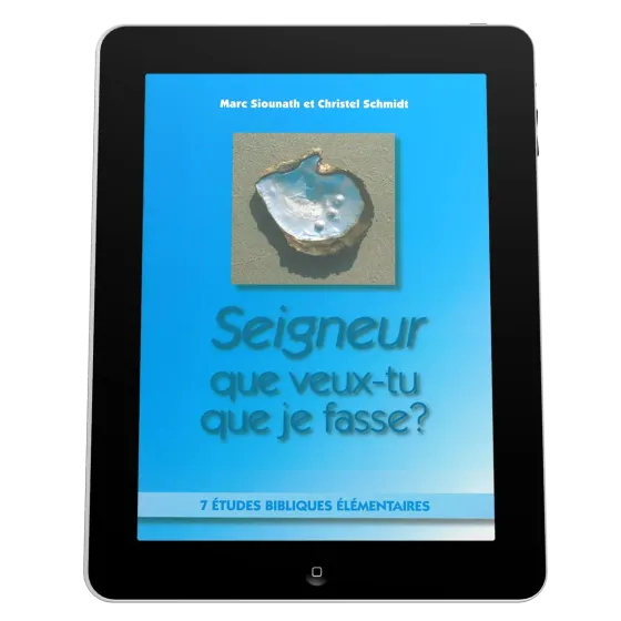 Seigneur que veux-tu que je fasse? - 7 études bibliques élémentaires - ebook