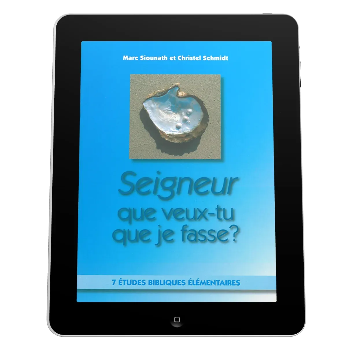 Seigneur que veux-tu que je fasse? - 7 études bibliques élémentaires - ePub