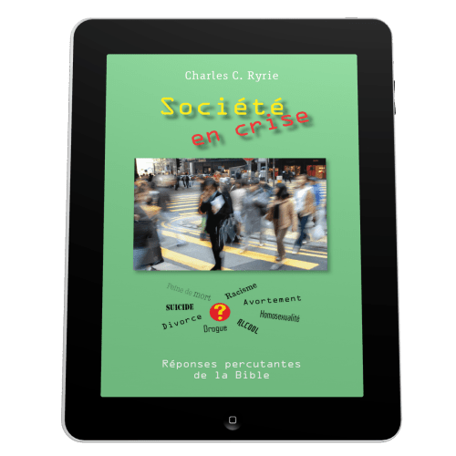 Société en crise - Ebook