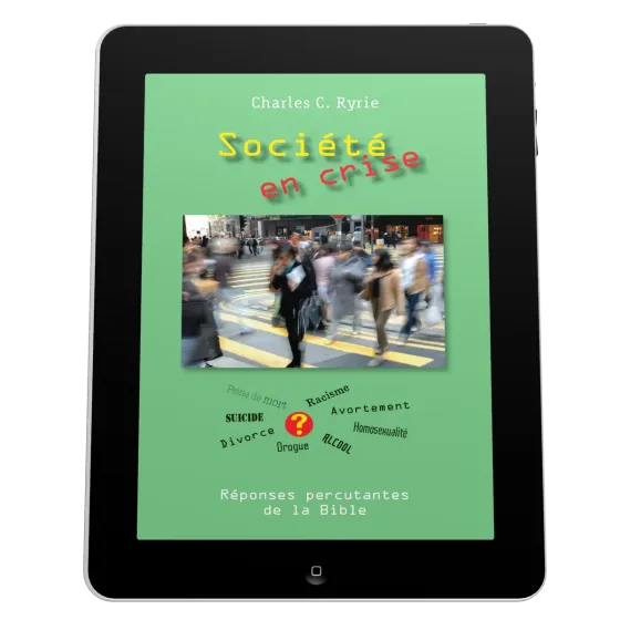 Société en crise - Ebook