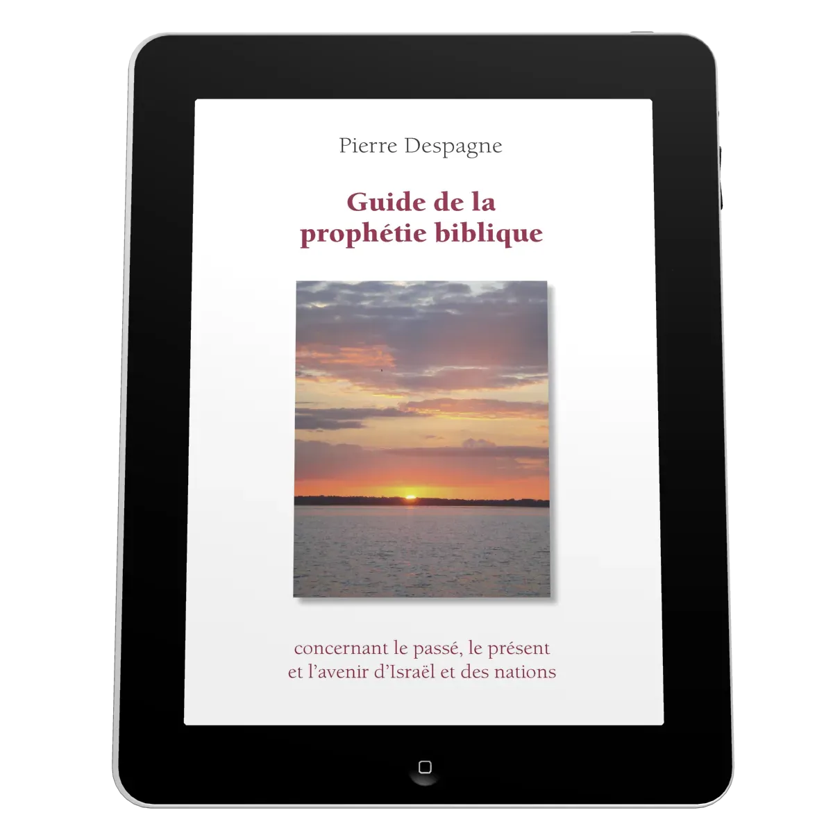 Guide de la prophétie biblique - ePub