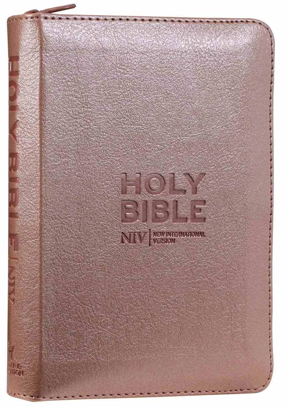 Englisch, Bibel New International Version, Kunstleder, rosa gold, Reissverschluss