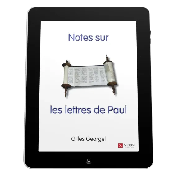Notes sur les lettres de Paul - EBOOK