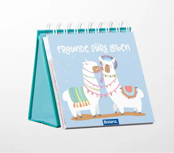 Mini Aufstellbuch Freunde fürs Leben