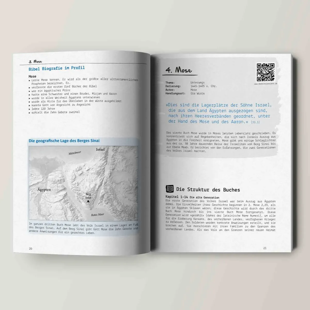 Bibel: Info - Handbuch für Teens