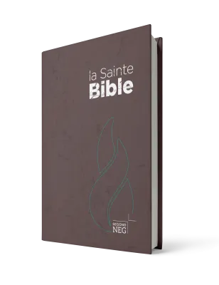 Segond NEG-Bibel, kompakt. Französisch - Hartcover Braun-Schokolade