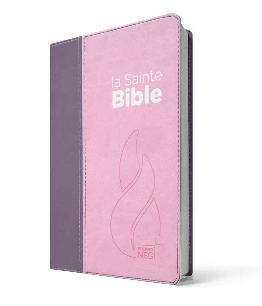 Bibel Segond NEG kompakt, französisch - Softcover, Vivella Duo Pralinenrosa / Waldfruchtviolett