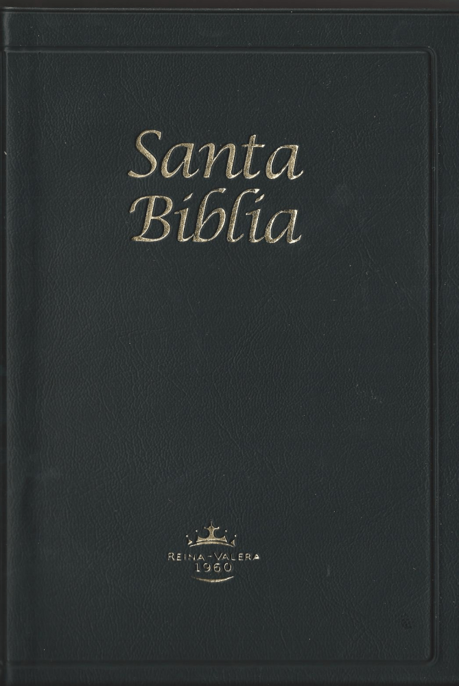 Spanisch, Bibel Reina Valera 1960, kartonniert