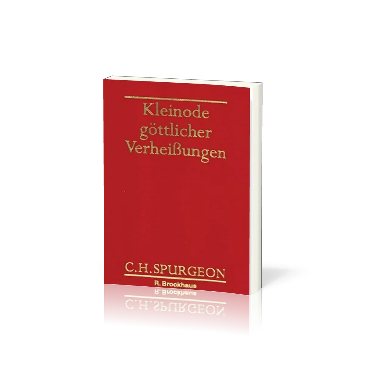 KLEINODE GÖTTLICHER VERHEISSUNGEN - FÜR JEDEN TAG EINE VERHEIßUNG