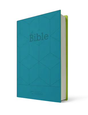 Bibel Segond 21, französisch - Softcover Vivella grün