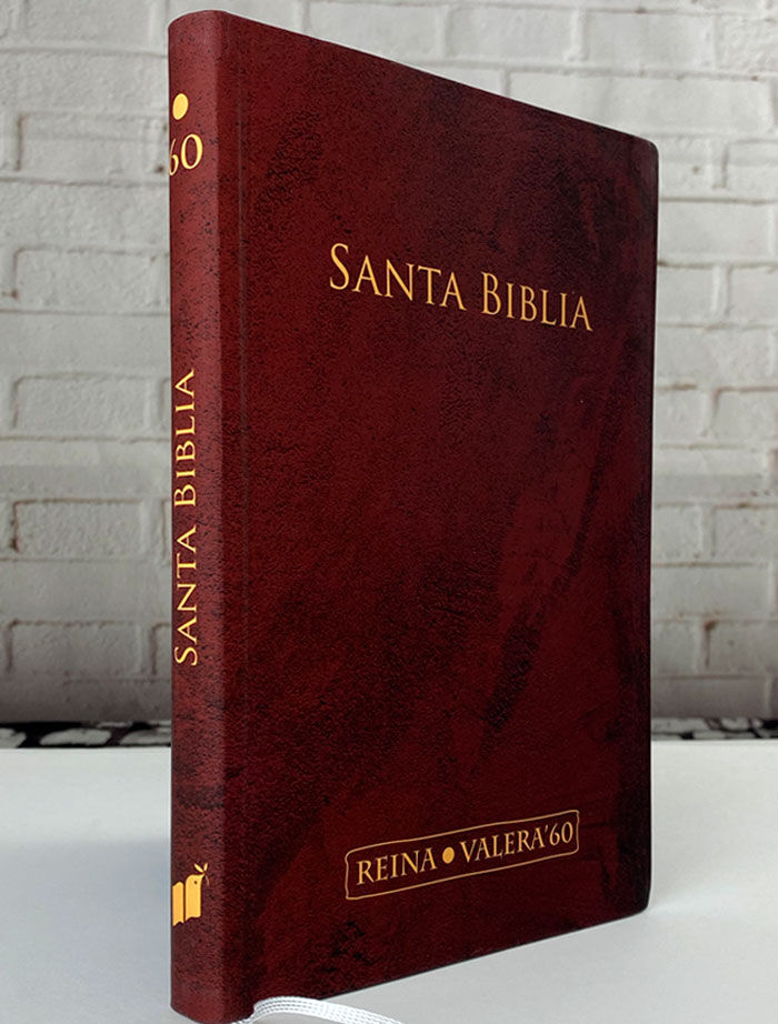 Espagnol, Bibel Reina Valera 1960, bordeaux