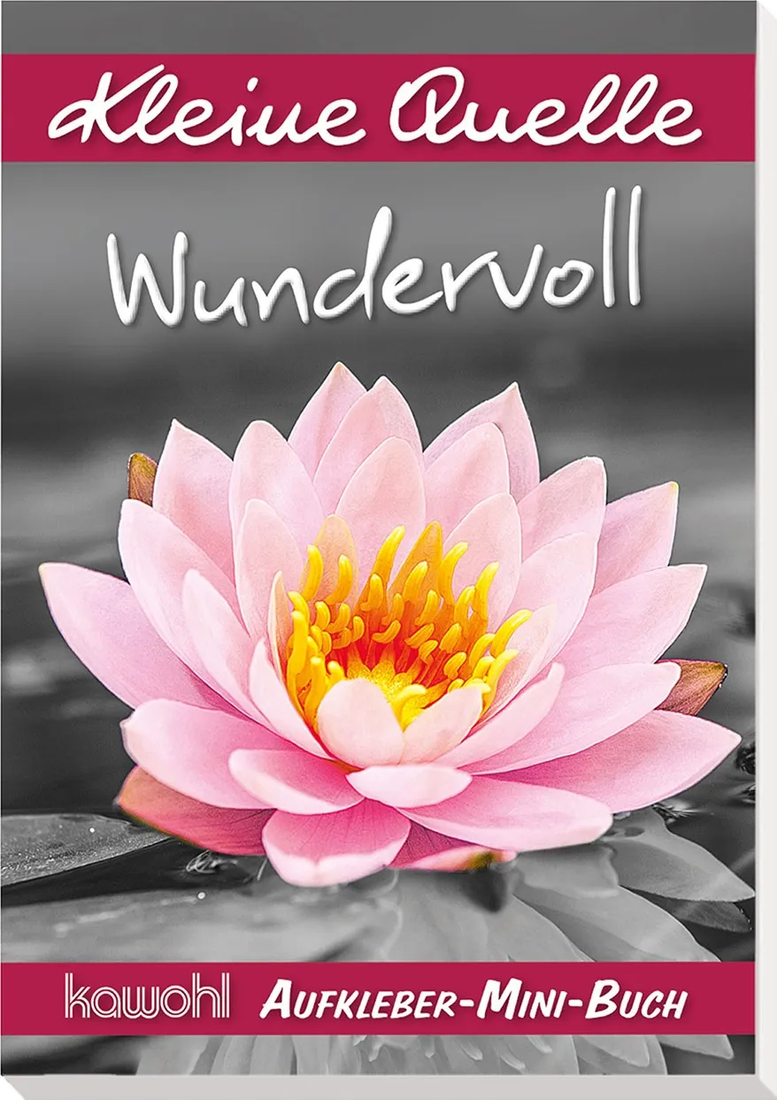 Wundervoll (Aufkleber-Mini-Buch) - Kleine Quelle - Schwarz/Weiss-Motive mit Farbelementen