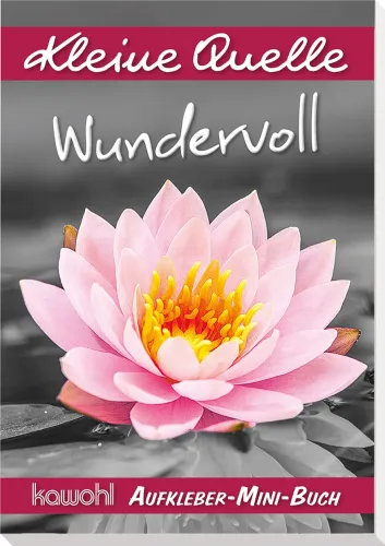 Wundervoll (Aufkleber-Mini-Buch) - Kleine Quelle - Schwarz/Weiss-Motive mit Farbelementen
