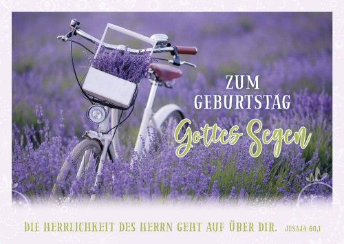 Postkarte Geburtstag Fahrrad in Lavendelfeld - 10 Stück pro Päckchen